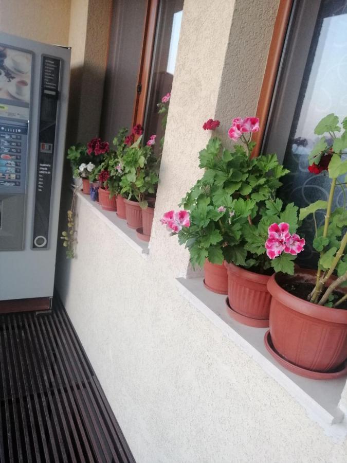 Villa Vega Sosopol Exterior foto